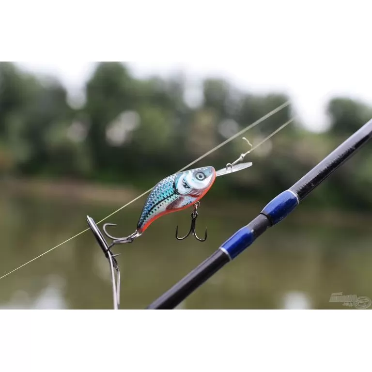 SALMO Sparky Shad SS4S HGOS SALMO Sparky Shad SS4S HGOS