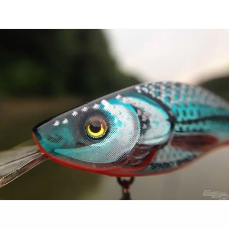 SALMO Sparky Shad SS4S SHS SALMO Sparky Shad SS4S SHS