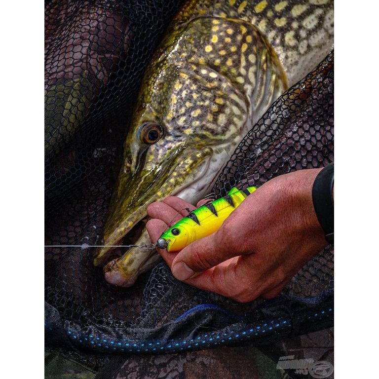 SAVAGE GEAR Cannibal Shad 15 cm - Golden Ambulance 1 db