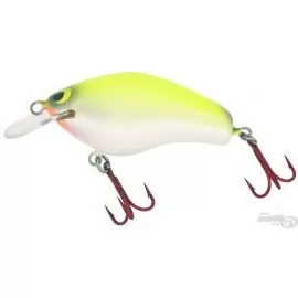 ZANDER TIME DuelCat Shallow 6,8 cm - SFC